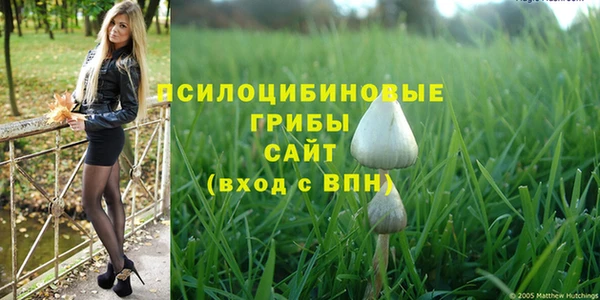 круглые Абаза