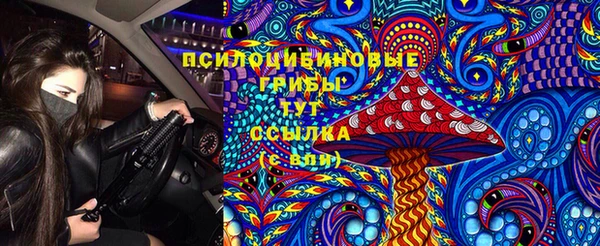 круглые Абаза