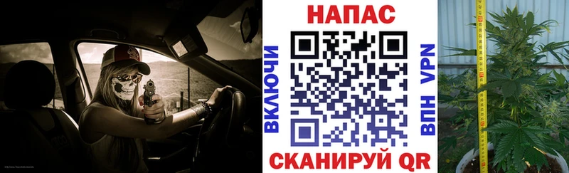 наркотики  Весьегонск  Каннабис Bruce Banner 